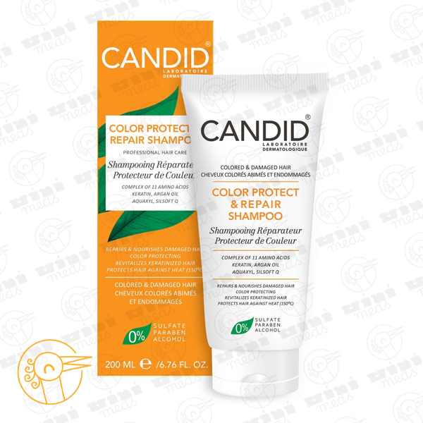 پیوند بارگذاری نشد